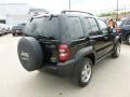 Black Clearcoat - Liberty Renegade 4x4 Photo No. 5