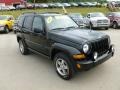 Black Clearcoat - Liberty Renegade 4x4 Photo No. 7
