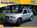 2005 Silver Metallic Ford Escape Hybrid 4WD  photo #1