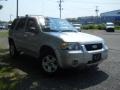 2005 Silver Metallic Ford Escape Hybrid 4WD  photo #3