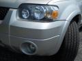 2005 Silver Metallic Ford Escape Hybrid 4WD  photo #7