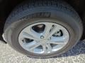 Mineral Gray Metallic - Durango Crew Photo No. 16