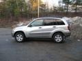 Titanium Metallic - RAV4 4WD Photo No. 6