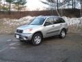 Titanium Metallic - RAV4 4WD Photo No. 8