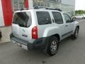 Brilliant Silver - Xterra Pro-4X 4x4 Photo No. 7