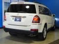 2009 Arctic White Mercedes-Benz GL 320 BlueTEC 4Matic  photo #24