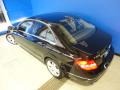 Black - C 300 Luxury 4Matic Photo No. 35