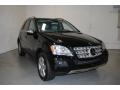 Obsidian Black Metallic - ML 350 4Matic Photo No. 35