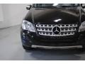 Obsidian Black Metallic - ML 350 4Matic Photo No. 37