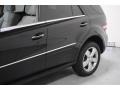 Obsidian Black Metallic - ML 350 4Matic Photo No. 42