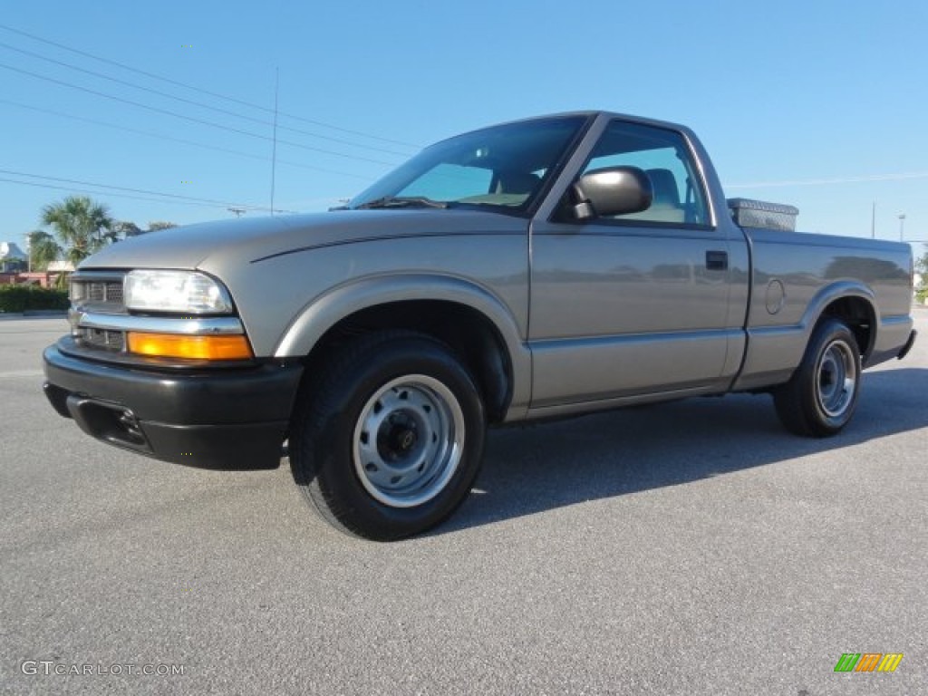 2003 S10 Regular Cab - Sandalwood Metallic / Medium Gray photo #7