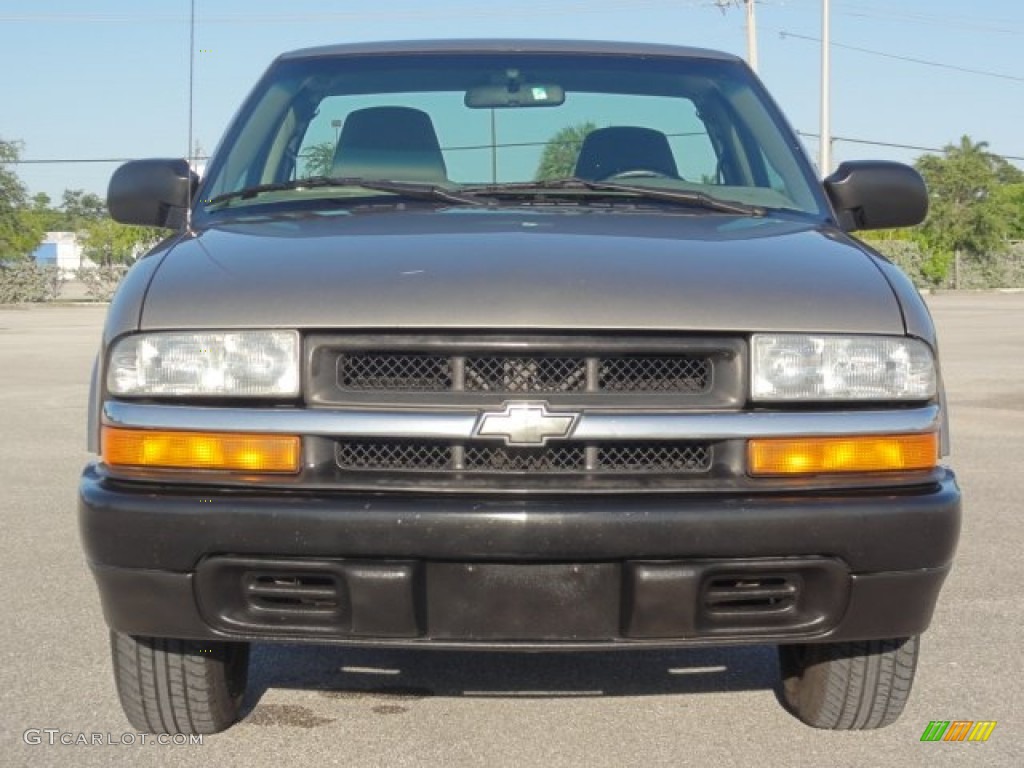 2003 S10 Regular Cab - Sandalwood Metallic / Medium Gray photo #8