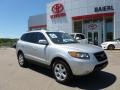 Bright Silver - Santa Fe SE 4WD Photo No. 1