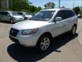 Bright Silver - Santa Fe SE 4WD Photo No. 3