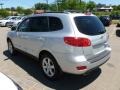 Bright Silver - Santa Fe SE 4WD Photo No. 5