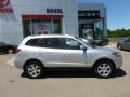 Bright Silver - Santa Fe SE 4WD Photo No. 8