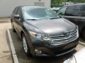 Magnetic Gray Metallic - Venza AWD Photo No. 1