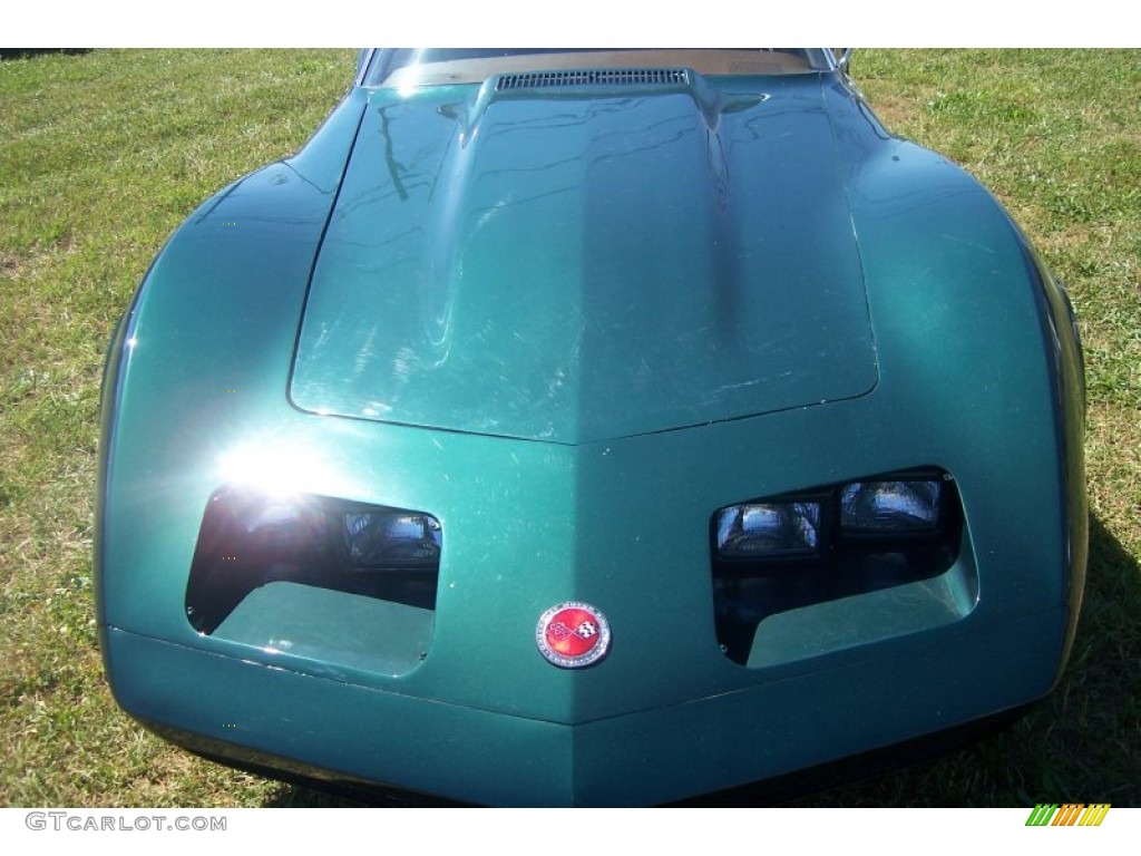 1973 Corvette Coupe - Elkhart Green / Dark Saddle photo #12