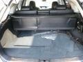 2010 Tungsten Silver Pearl Lexus RX 450h AWD Hybrid  photo #15