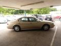 Cashmere Metallic - LeSabre Custom Photo No. 32