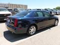 2007 Blue Chip Cadillac STS V6  photo #4