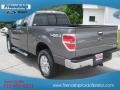 2012 Sterling Gray Metallic Ford F150 XLT SuperCab 4x4  photo #8