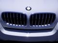 Alpine White - X6 xDrive35i Photo No. 9