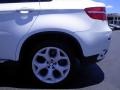 2010 Alpine White BMW X6 xDrive35i  photo #13