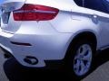 2010 Alpine White BMW X6 xDrive35i  photo #21