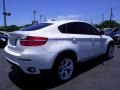 2010 Alpine White BMW X6 xDrive35i  photo #22