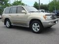 Sonora Gold Pearl - Land Cruiser  Photo No. 2