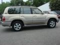 Sonora Gold Pearl - Land Cruiser  Photo No. 3