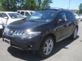 Super Black - Murano LE AWD Photo No. 1