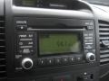 2009 Kia Sedona Gray Interior Audio System Photo