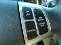Quicksilver - Elantra GLS Photo No. 33