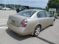 Velvet Beige - Altima 3.5 SE Photo No. 7
