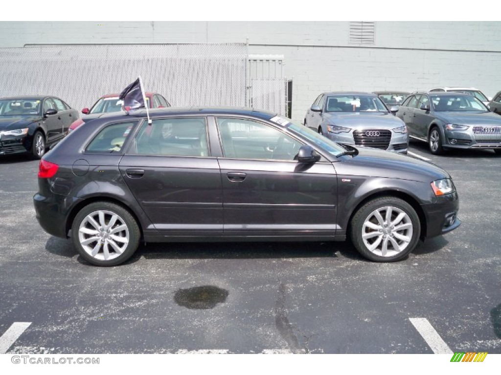 Lava Grey Pearl Effect 2009 Audi A3 2.0T Exterior Photo #66604638