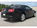 Black - Mustang V6 Premium Convertible Photo No. 5