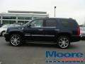 Blue Chip - Escalade AWD Photo No. 20