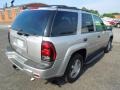 Silverstone Metallic - TrailBlazer LS Photo No. 6
