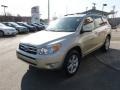 2007 Savannah Metallic Toyota RAV4 Limited 4WD  photo #3