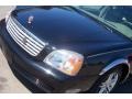 Sable Black - DeVille Sedan Photo No. 13