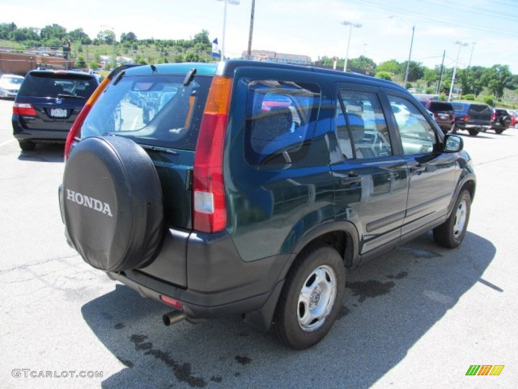 2003 CR-V LX 4WD - Clover Green Pearl / Saddle photo #6