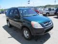 2003 Clover Green Pearl Honda CR-V LX 4WD  photo #8