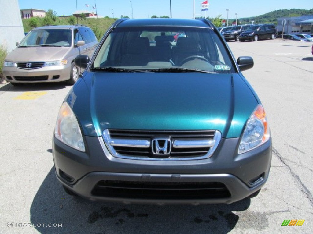 2003 CR-V LX 4WD - Clover Green Pearl / Saddle photo #9