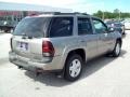 Light Pewter Metallic - TrailBlazer LTZ 4x4 Photo No. 11