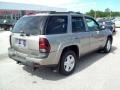 2002 Light Pewter Metallic Chevrolet TrailBlazer LTZ 4x4  photo #11