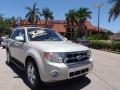 2009 Light Sage Metallic Ford Escape Limited V6  photo #1