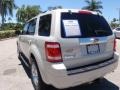 2009 Light Sage Metallic Ford Escape Limited V6  photo #9