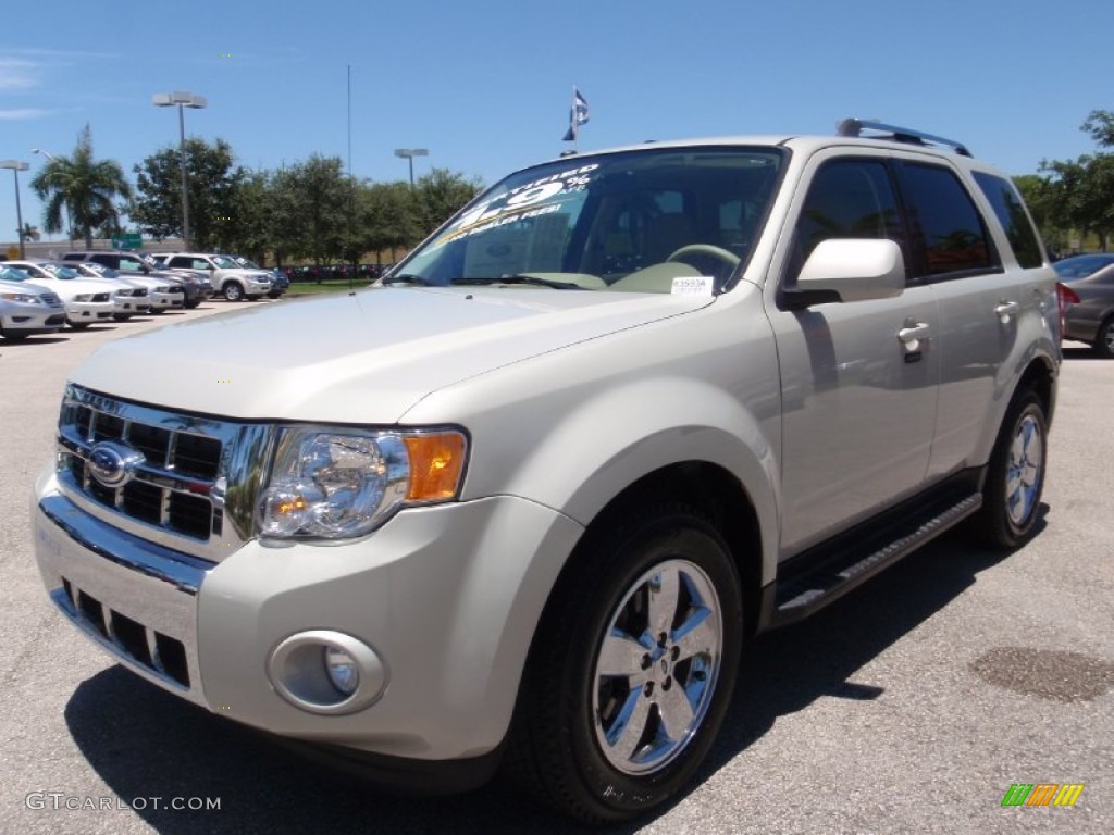 2009 Escape Limited V6 - Light Sage Metallic / Camel photo #14